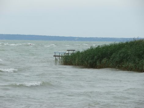 2008.balaton_037.jpg